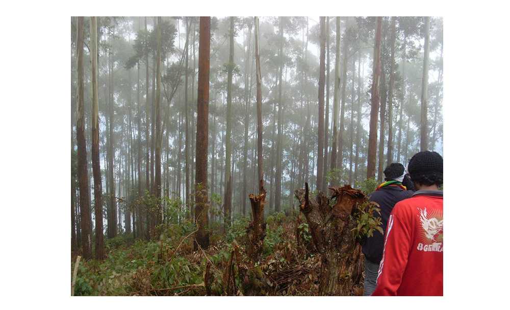 backpacking and coping